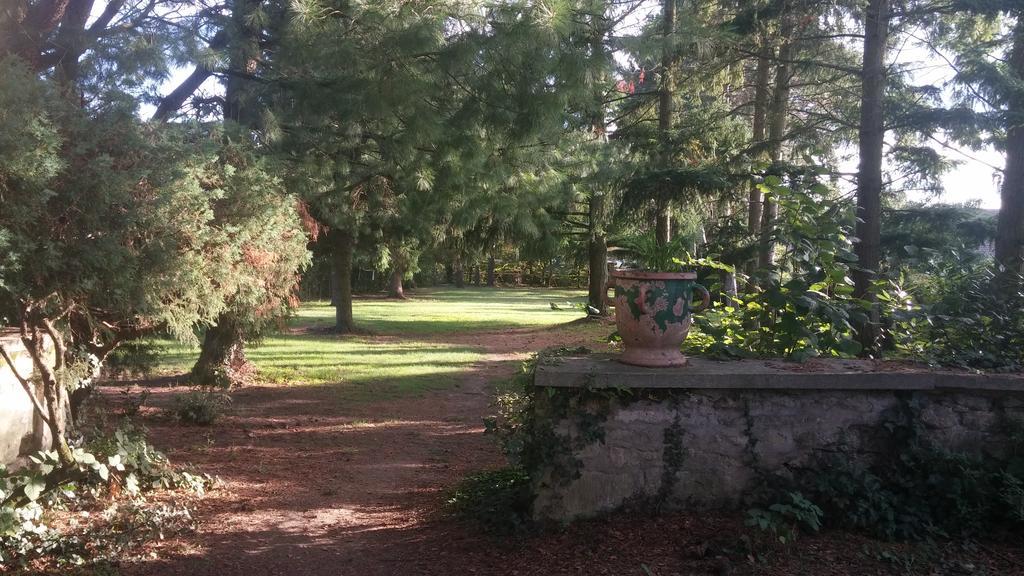 Relais De La Haute Pommeraye Apremont  Buitenkant foto